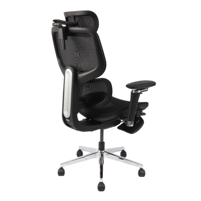 M55 HUMON I ERGO CHAIR FOR BACK PAIN - Image 4