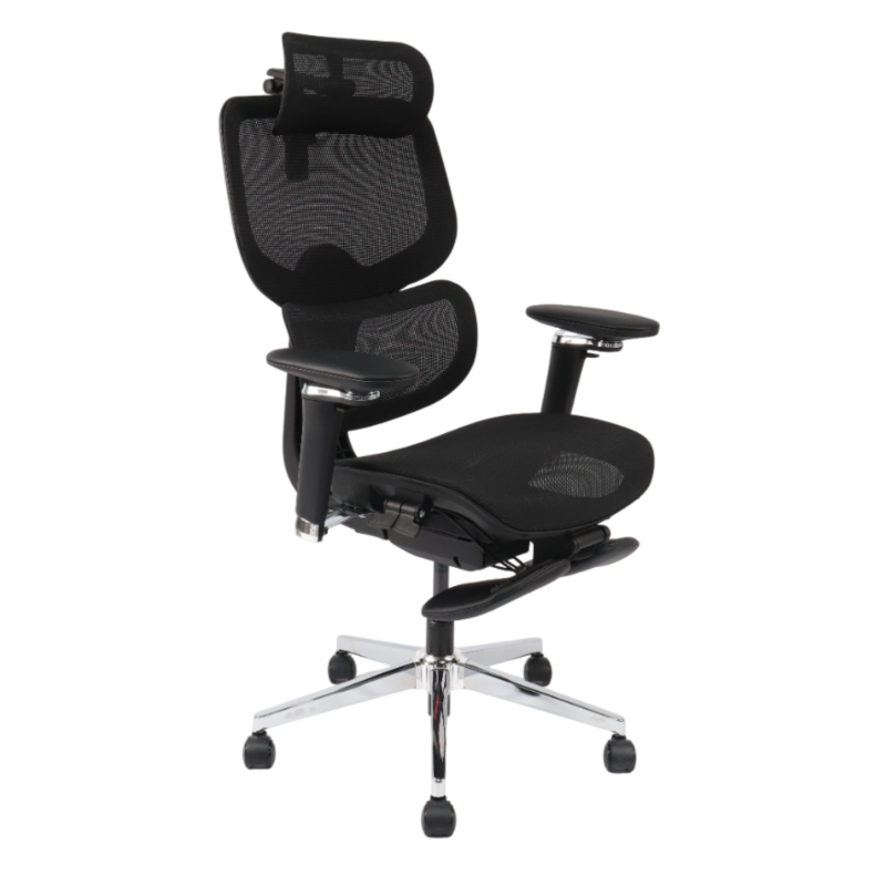 M55 HUMON I ERGO CHAIR FOR BACK PAIN