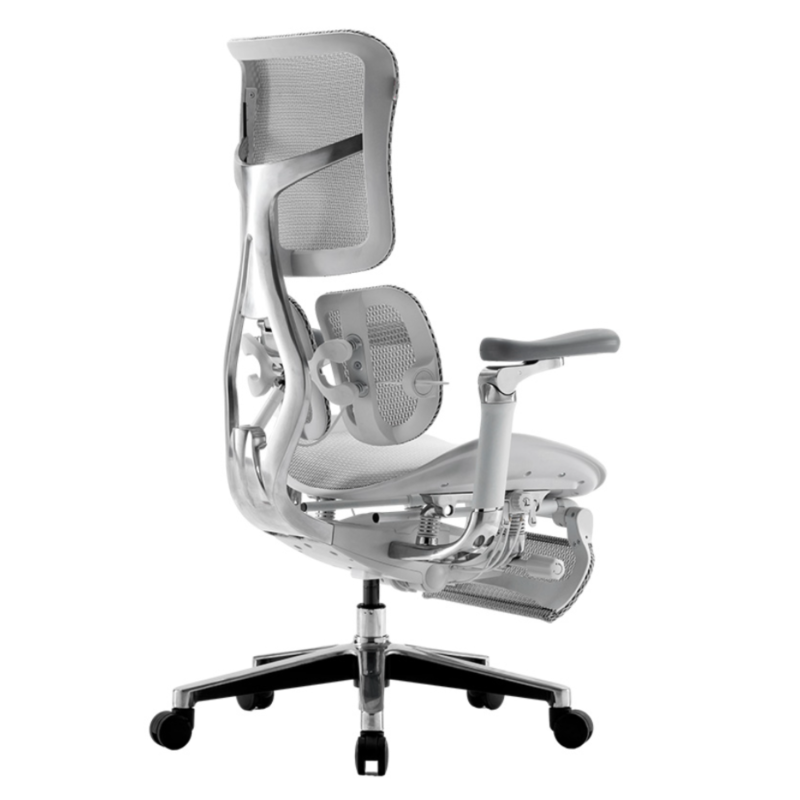 SIHOO Doro S300 Ergo Chair - Image 4