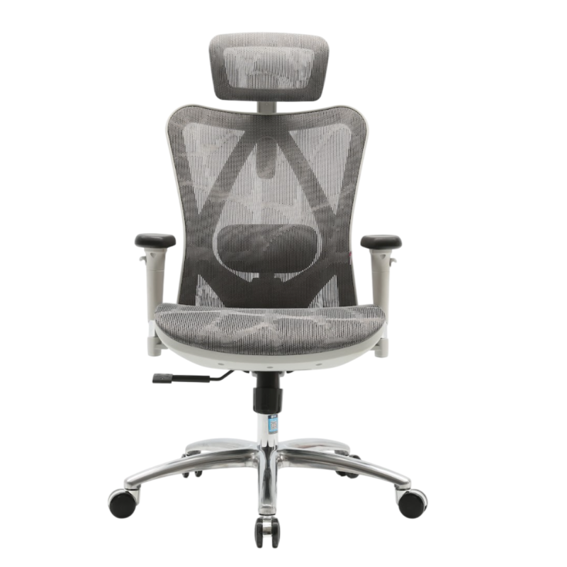 SIHOO M57 Ergo Chair - Image 2