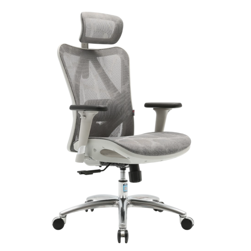 SIHOO M57 Ergo Chair